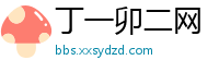 丁一卯二网